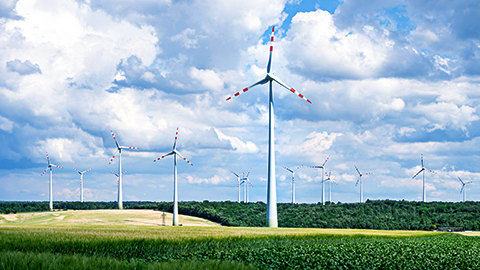 Exploring the Link Between Corporate Governance and Sustainability Exploring the Link Between Corporate Governance and Sustainability