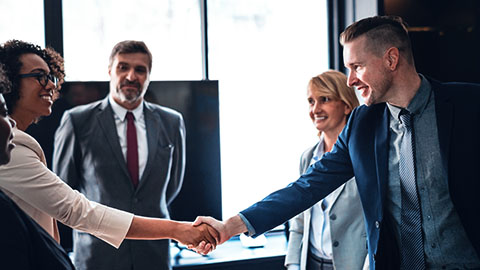Board Member or Board Director Board Member or Board Director