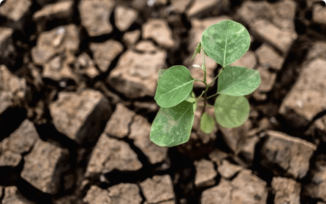 ESG Issues How Climate Change Impacts Businesses ESG Issues How Climate Change Impacts Businesses