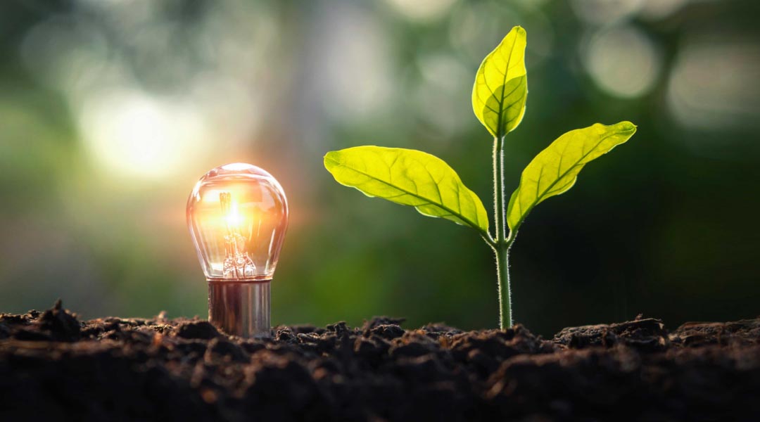 ESG Ratings: Sustainability Performance in the Spotlight ESG Ratings: Sustainability Performance in the Spotlight