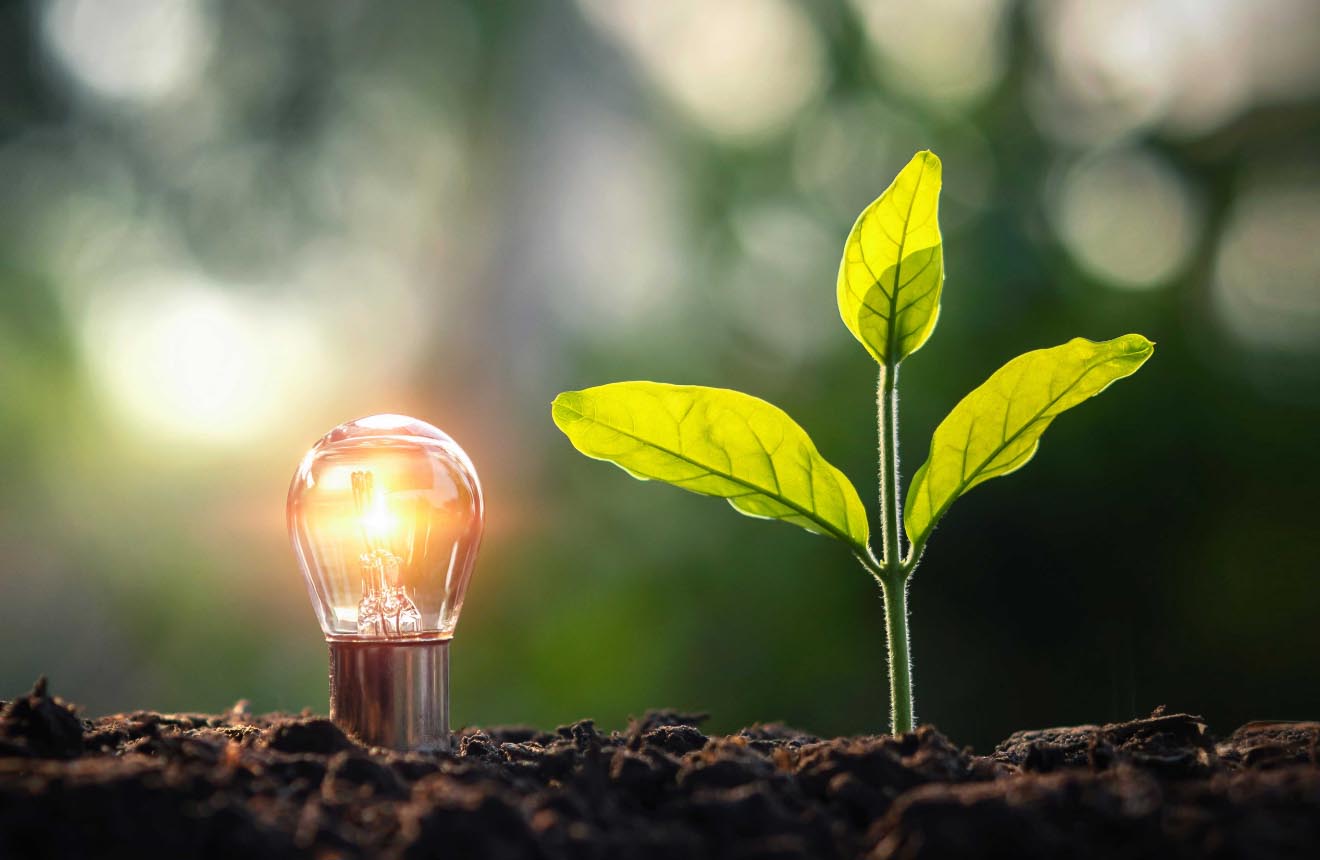 ESG Ratings: Sustainability Performance in the Spotlight ESG Ratings: Sustainability Performance in the Spotlight