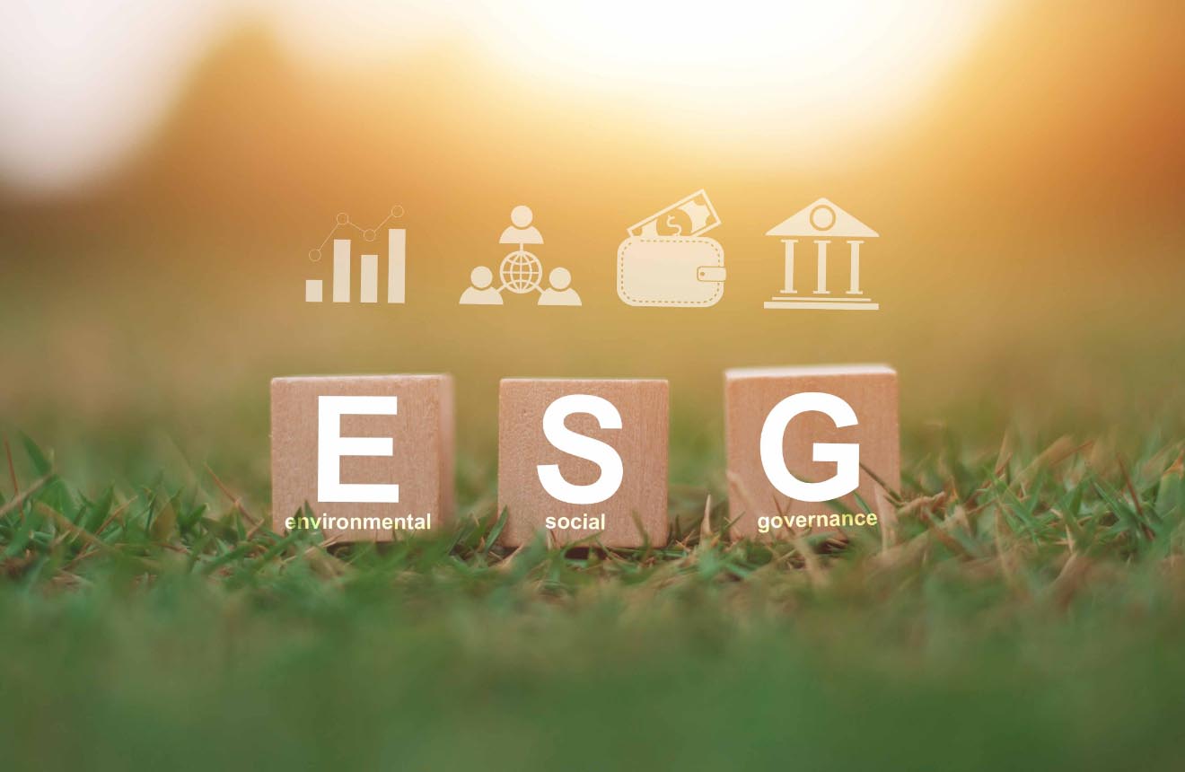 What are ESG disclosures What are ESG disclosures