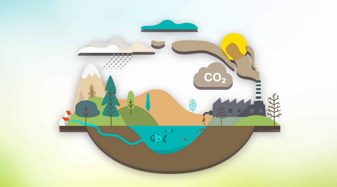 What is a Carbon Sink: Types, Examples, and How It Works What is a Carbon Sink: Types, Examples, and How It Works