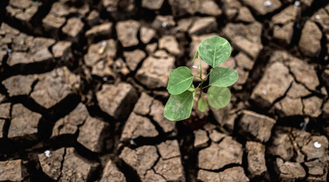 ESG Issues: How Climate Change Impacts Businesses ESG Issues: How Climate Change Impacts Businesses